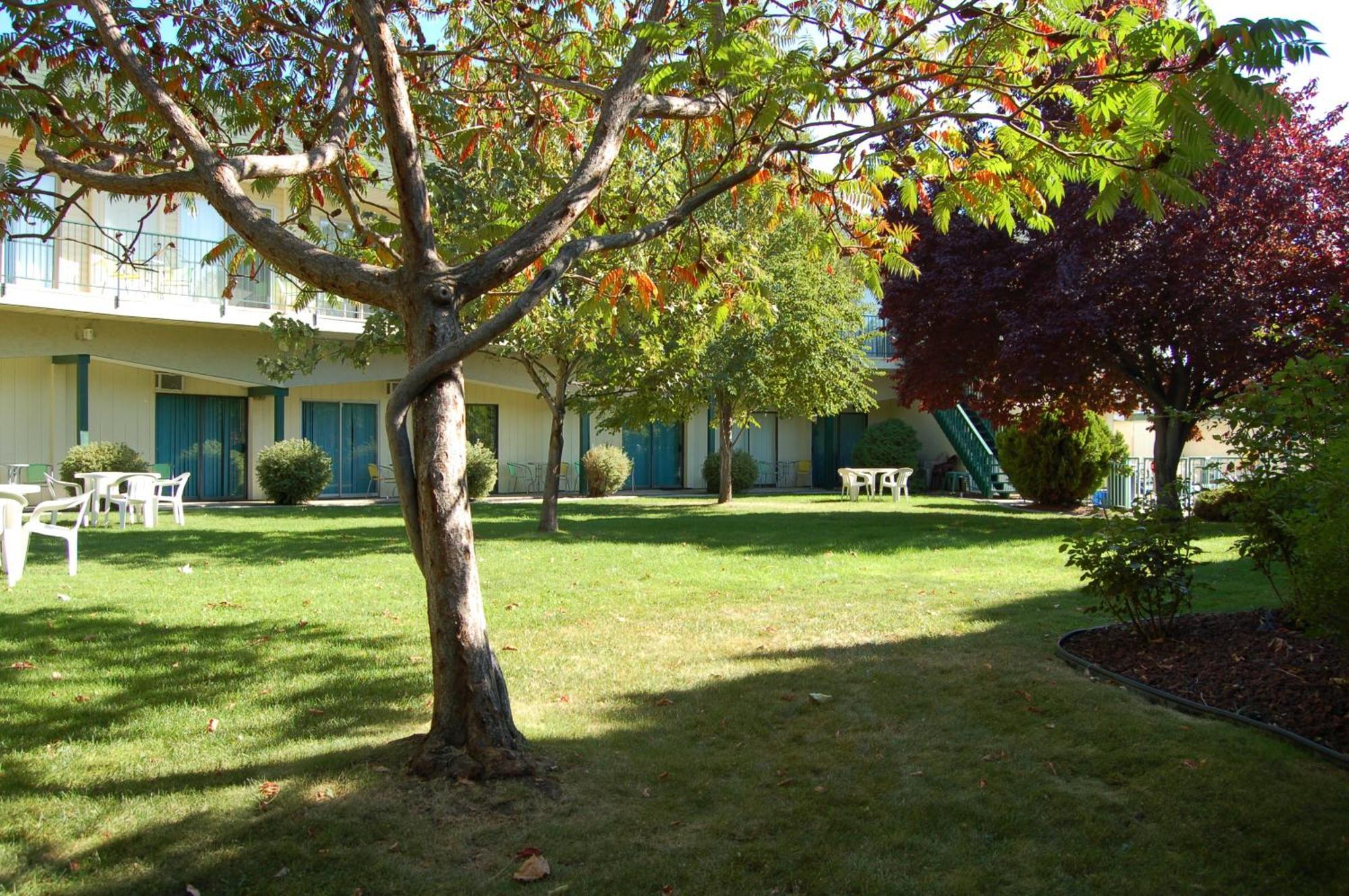 Summerland Motel Kültér fotó