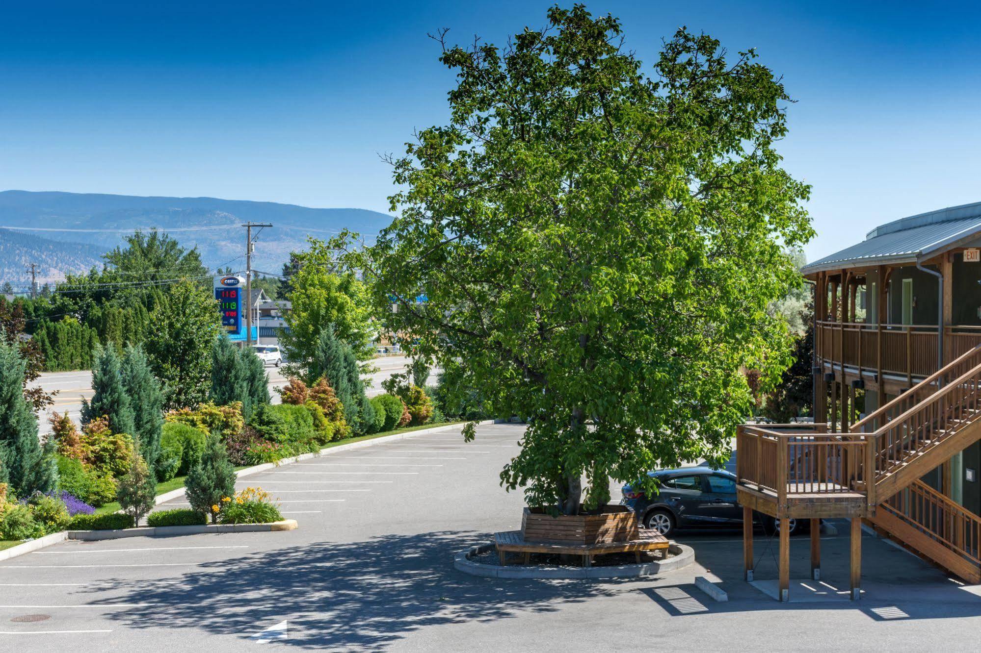 Summerland Motel Kültér fotó